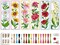 6PCS Cross Stitch Bookmark Kit for Beginner Flower Pattern Stamped Cross Stitch Kits for Adults Crossstitch Kits Adult Bookmarks